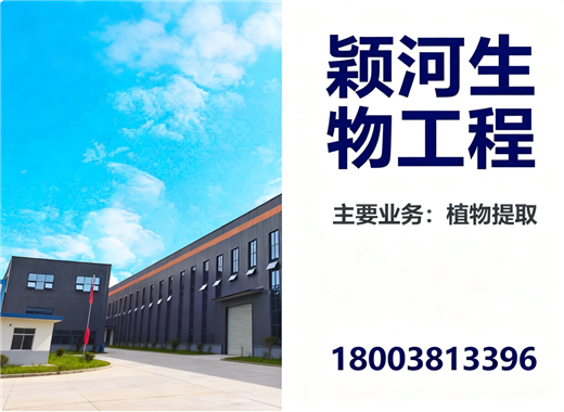 颖河保定站